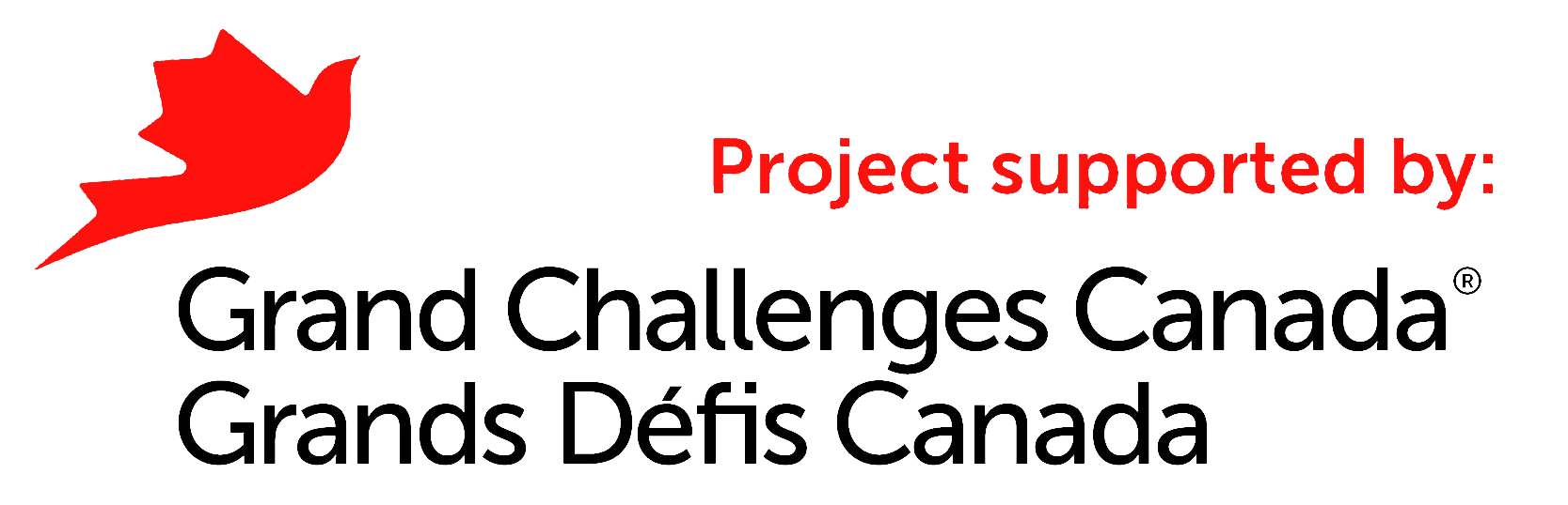 Sense Intelligent got Grand Challenges Canada funding